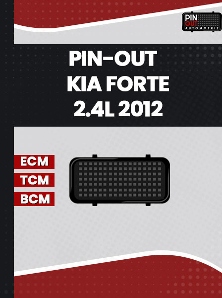 PIN-OUT KIA FORTE 2.4L 2012