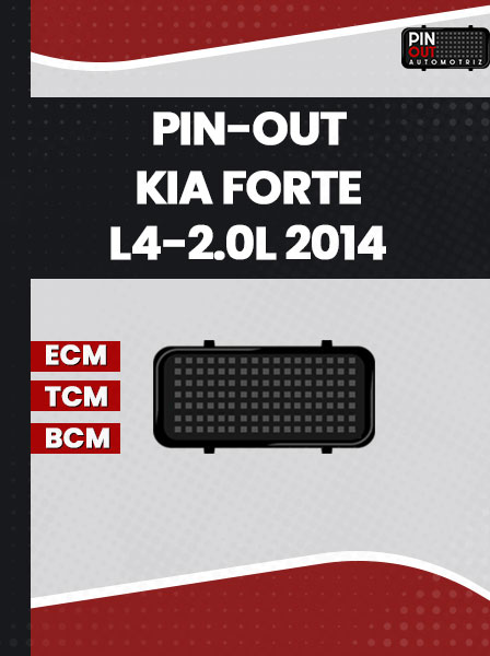 PIN-OUT KIA FORTE L4-2.0L 2014
