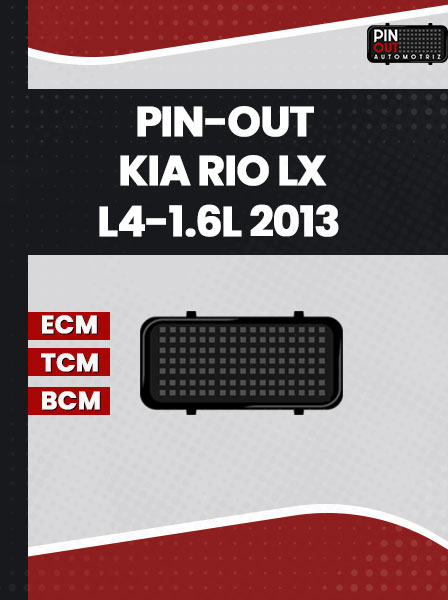 PIN-OUT KIA RIO LX L4-1.6L 2013