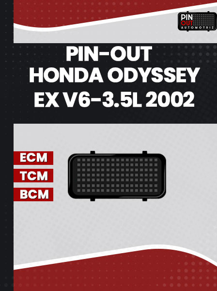 PIN-OUT HONDA ODYSSEY EX V6-3.5L 2002