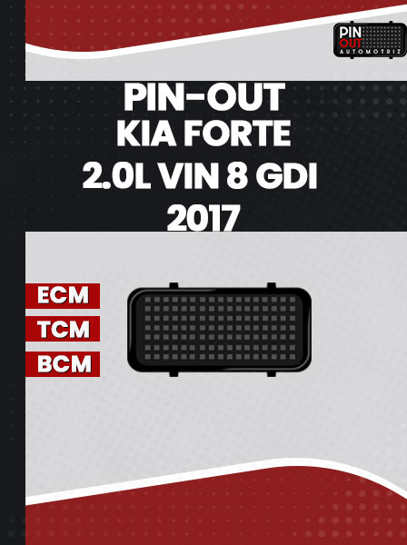 PIN-OUT KIA FORTE 2.0L VIN 8 GDI 2017